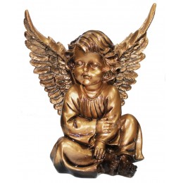 Ангел АСГ-296