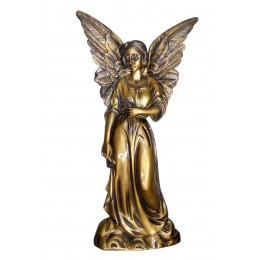 Ангел АСГ-298