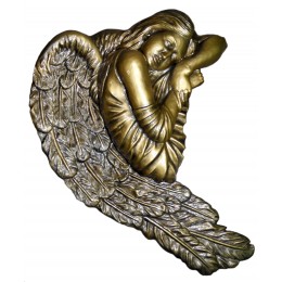 Ангел АСГ-299